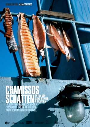 Chamissos Schatten (DVD)