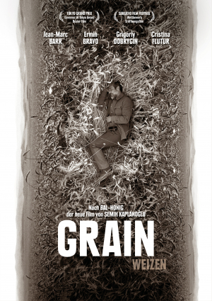 Grain – Weizen 