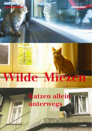 Wilde Miezen – Katzen allein unterwegs 